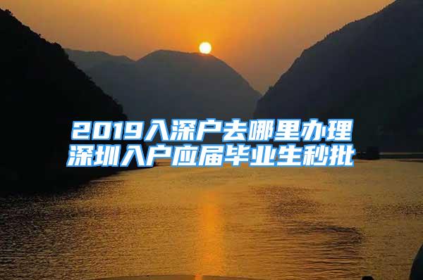 2019入深户去哪里办理深圳入户应届毕业生秒批