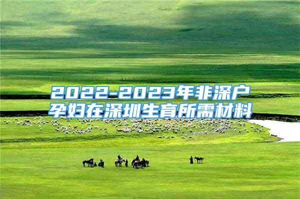 2022-2023年非深户孕妇在深圳生育所需材料