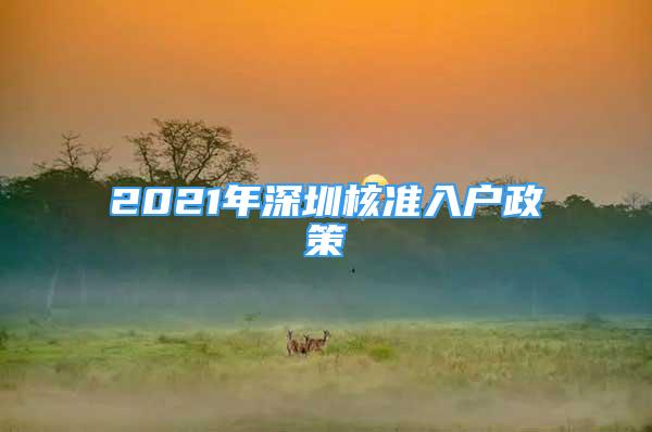 2021年深圳核准入户政策