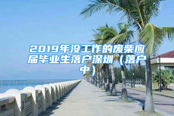 2019年没工作的废柴应届毕业生落户深圳（落户中）