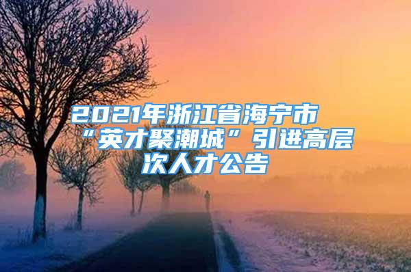 2021年浙江省海宁市“英才聚潮城”引进高层次人才公告