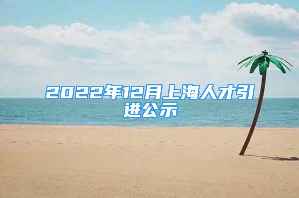 2022年12月上海人才引进公示