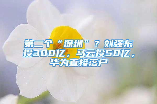 第二个“深圳”？刘强东投300亿，马云投50亿，华为直接落户