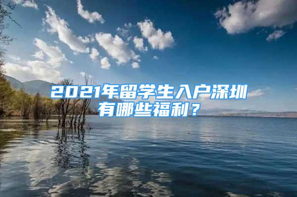 2021年留学生入户深圳有哪些福利？