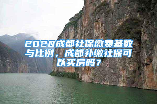 2020成都社保缴费基数与比例，成都补缴社保可以买房吗？