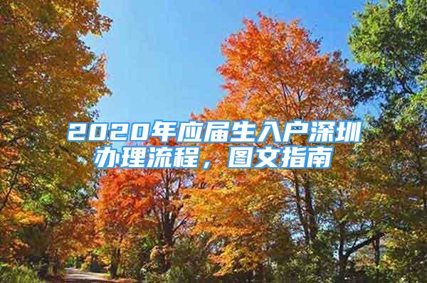 2020年应届生入户深圳办理流程，图文指南