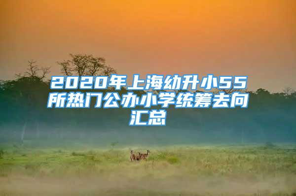 2020年上海幼升小55所热门公办小学统筹去向汇总