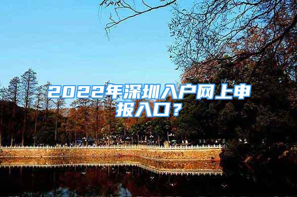 2022年深圳入户网上申报入口？