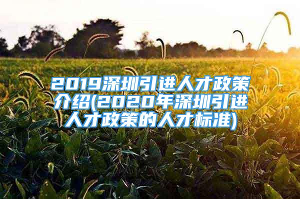 2019深圳引进人才政策介绍(2020年深圳引进人才政策的人才标准)