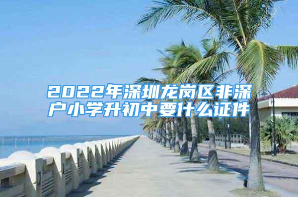 2022年深圳龙岗区非深户小学升初中要什么证件