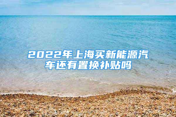 2022年上海买新能源汽车还有置换补贴吗