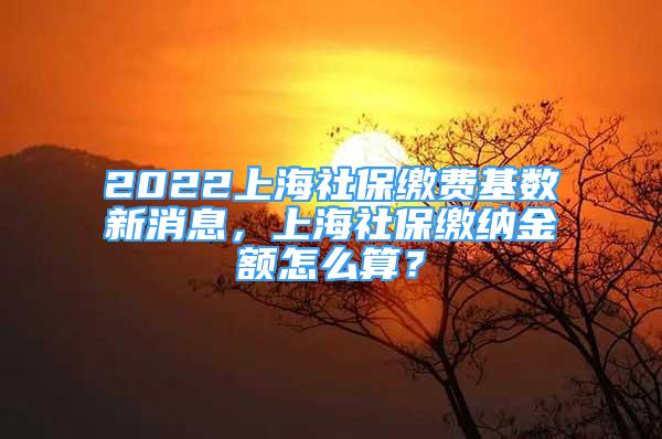 2022上海社保缴费基数新消息，上海社保缴纳金额怎么算？