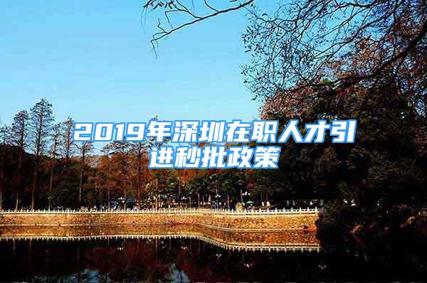 2019年深圳在职人才引进秒批政策