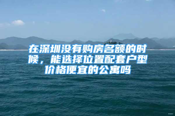 在深圳没有购房名额的时候，能选择位置配套户型价格便宜的公寓吗