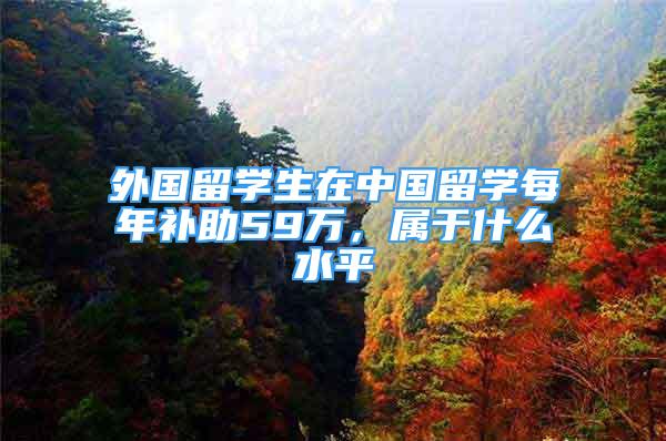 外国留学生在中国留学每年补助59万，属于什么水平