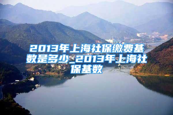 2013年上海社保缴费基数是多少_2013年上海社保基数