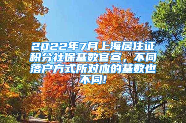 2022年7月上海居住证积分社保基数官宣，不同落户方式所对应的基数也不同!