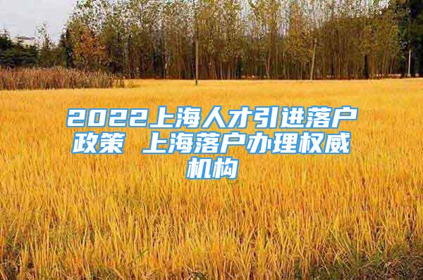 2022上海人才引进落户政策 上海落户办理权威机构