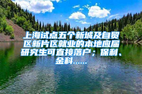 上海试点五个新城及自贸区新片区就业的本地应届研究生可直接落户；保利、金科......