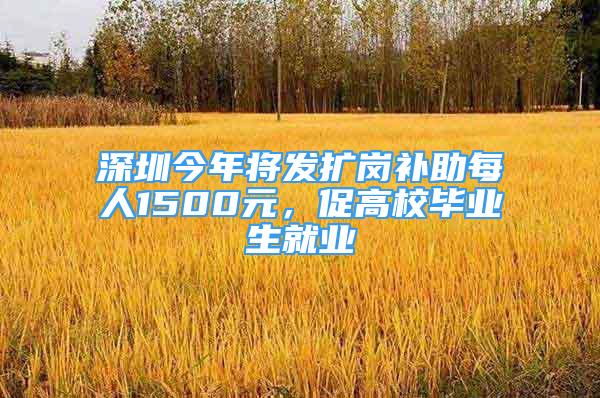 深圳今年将发扩岗补助每人1500元，促高校毕业生就业