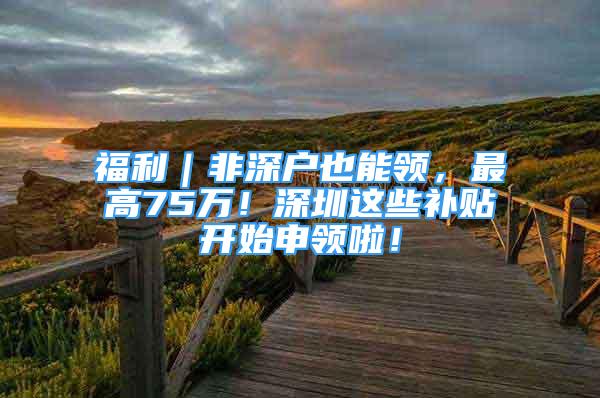 福利｜非深户也能领，最高75万！深圳这些补贴开始申领啦！