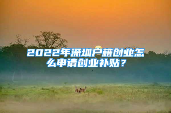 2022年深圳户籍创业怎么申请创业补贴？