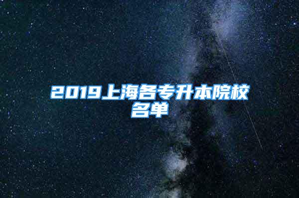 2019上海各专升本院校名单