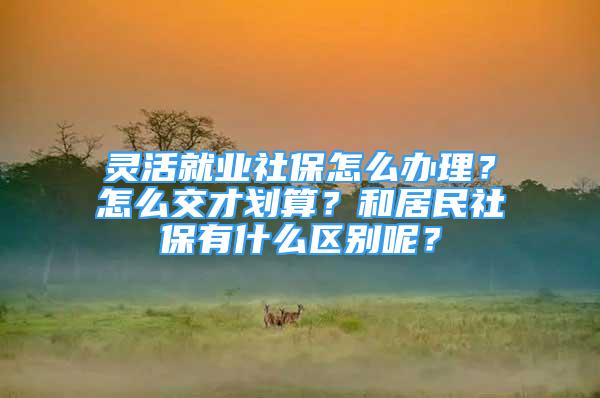 灵活就业社保怎么办理？怎么交才划算？和居民社保有什么区别呢？