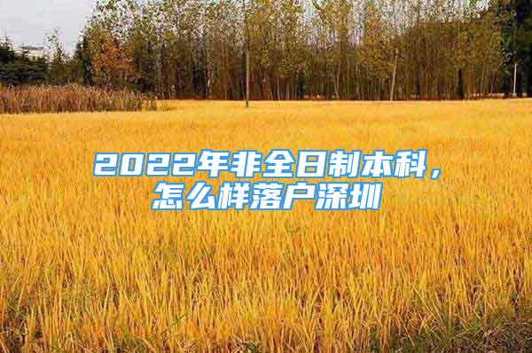 2022年非全日制本科，怎么样落户深圳