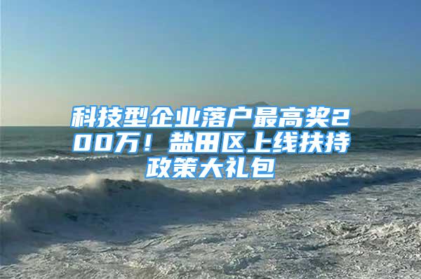 科技型企业落户最高奖200万！盐田区上线扶持政策大礼包