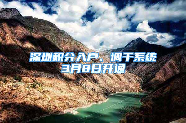 深圳积分入户、调干系统3月8日开通