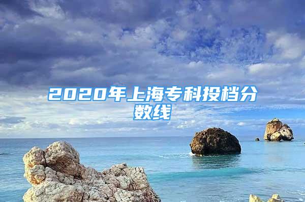 2020年上海专科投档分数线