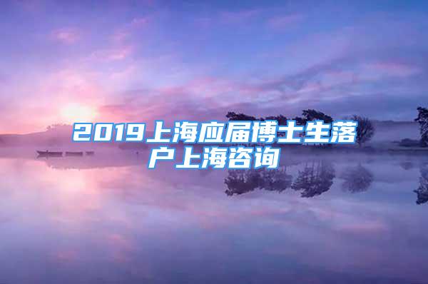 2019上海应届博士生落户上海咨询