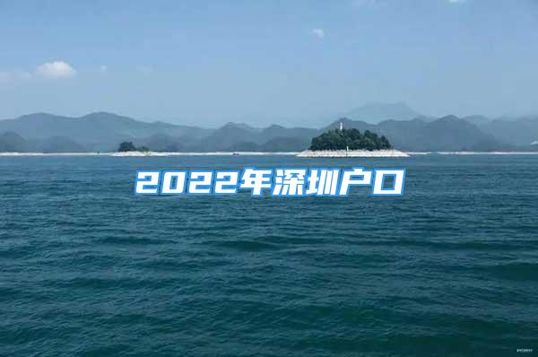 2022年深圳户口