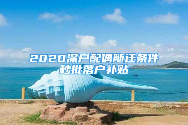 2020深户配偶随迁条件秒批落户补贴