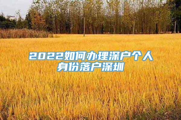 2022如何办理深户个人身份落户深圳