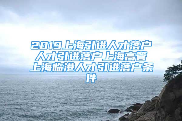 2019上海引进人才落户 人才引进落户上海高管 上海临港人才引进落户条件