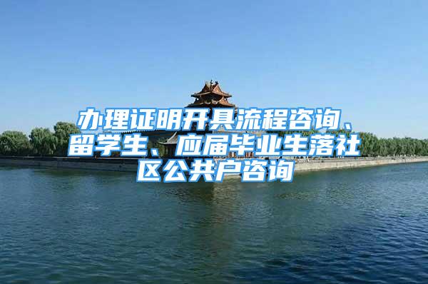 办理证明开具流程咨询、留学生、应届毕业生落社区公共户咨询