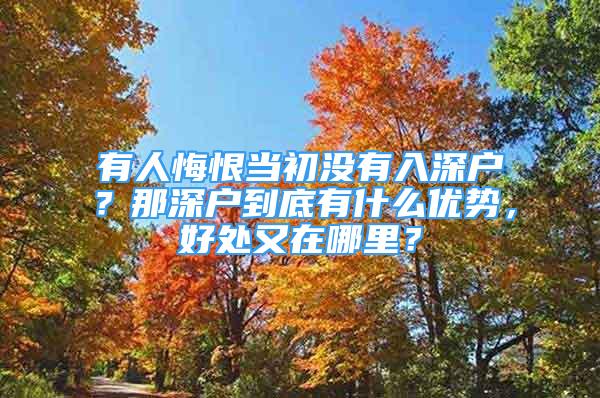 有人悔恨当初没有入深户？那深户到底有什么优势，好处又在哪里？