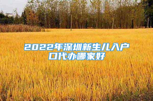 2022年深圳新生儿入户口代办哪家好