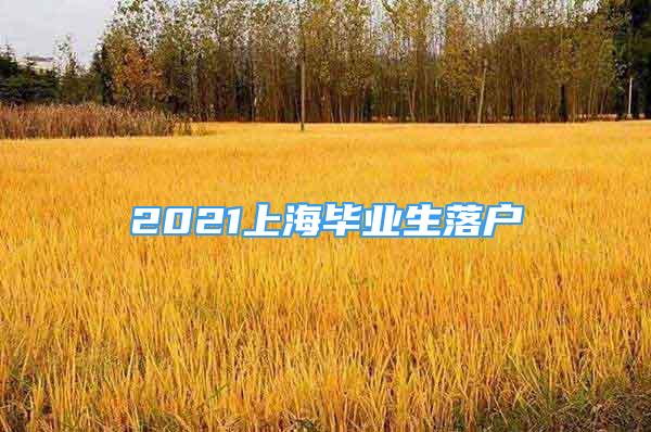 2021上海毕业生落户