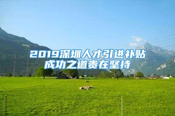 2019深圳人才引进补贴成功之道贵在坚持