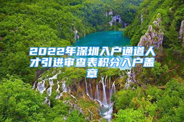 2022年深圳入户通道人才引进审查表积分入户盖章