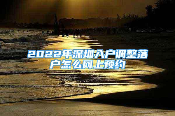 2022年深圳入户调整落户怎么网上预约