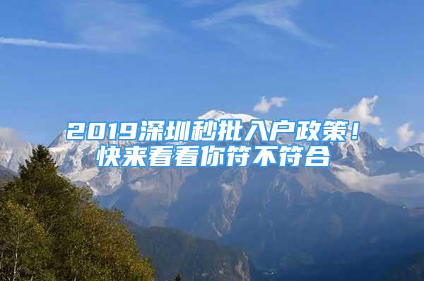 2019深圳秒批入户政策！快来看看你符不符合