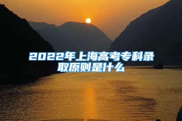 2022年上海高考专科录取原则是什么