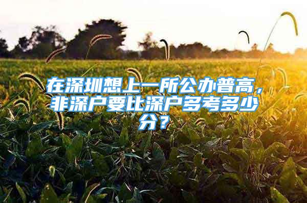 在深圳想上一所公办普高，非深户要比深户多考多少分？