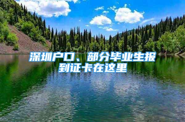 深圳户口、部分毕业生报到证卡在这里