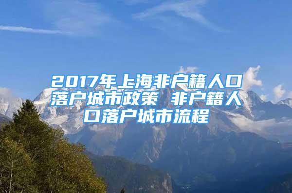 2017年上海非户籍人口落户城市政策 非户籍人口落户城市流程