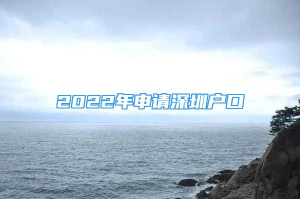 2022年申请深圳户口